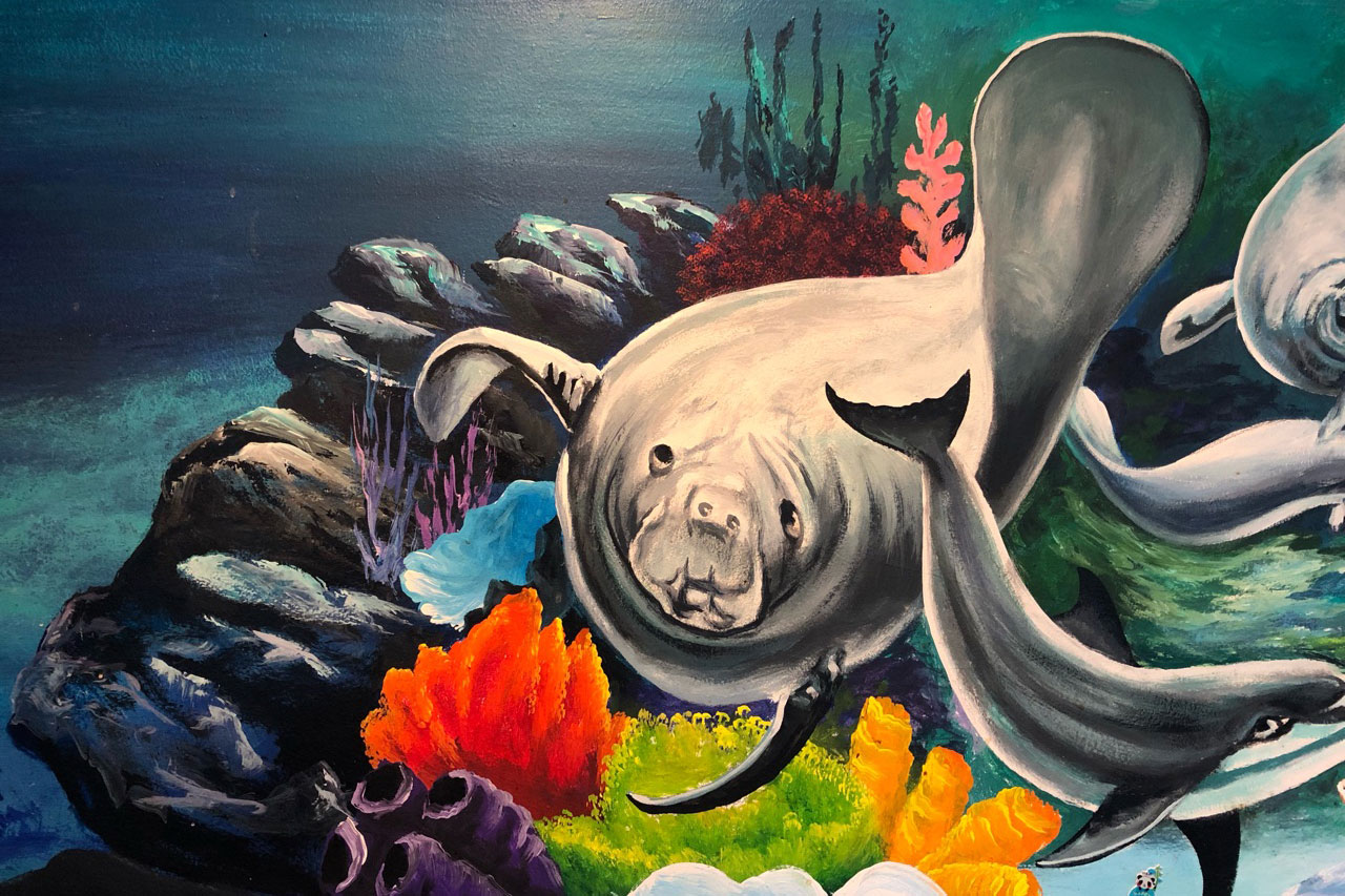 Sea creatures mural
