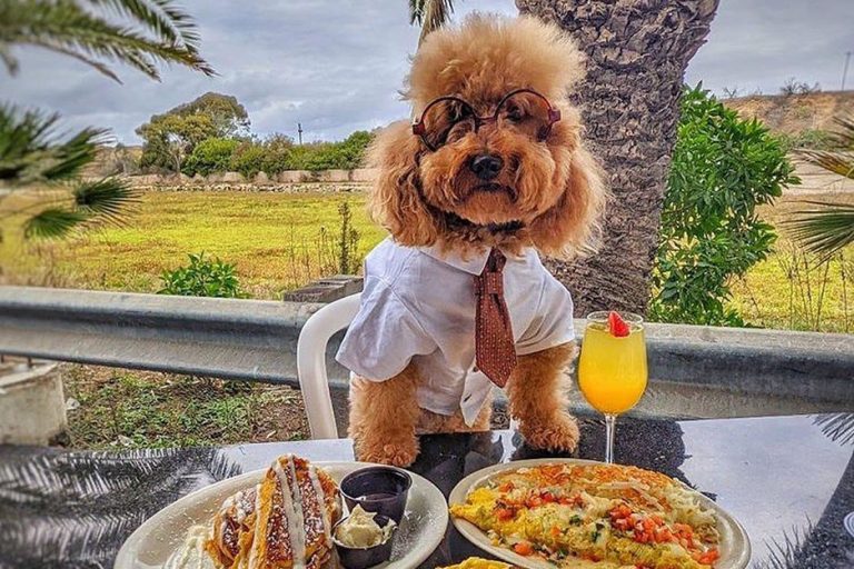 Outdoor Dining Cappy's Cafe